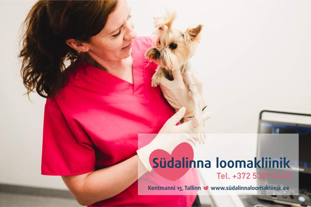 loomakliinik tallinnas